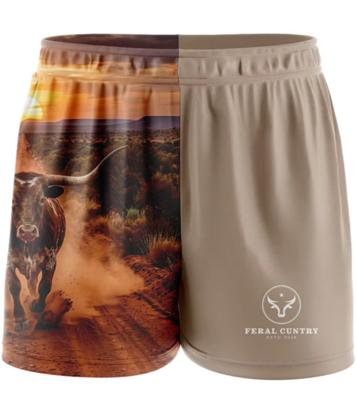 Bull Footy Shorts